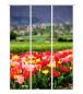 Preview: Tulpenfluss, Flächenvorhang 3er Set